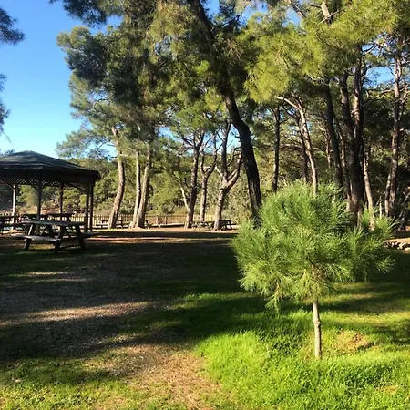 Forest Park Apartment Alanya